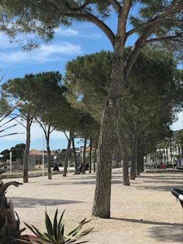La Ciotat : Superbe Appartement Proche Du Port Extérieur photo